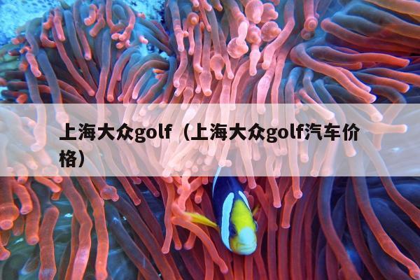 上海大众golf（上海大众golf汽车价格）