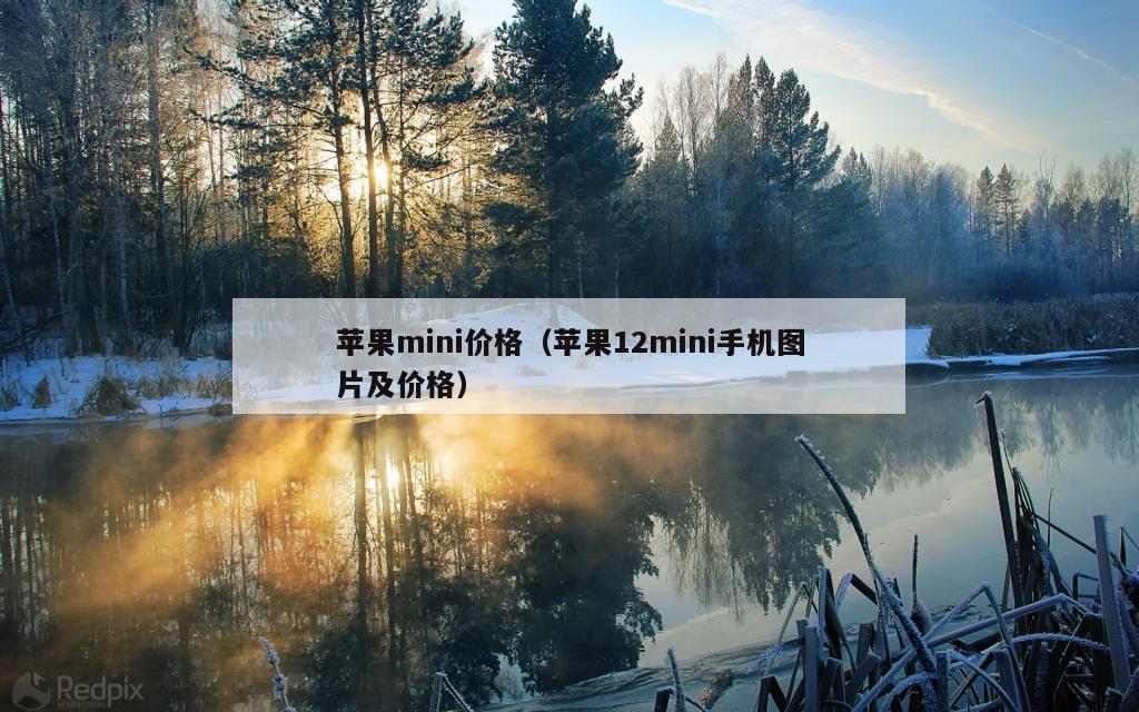 苹果mini价格（苹果12mini手机图片及价格）