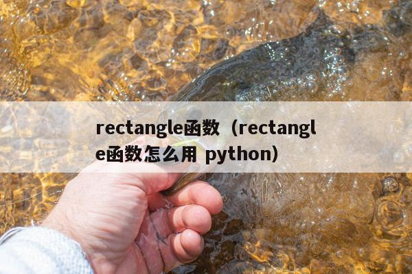 rectangle函数（rectangle函数怎么用 python）