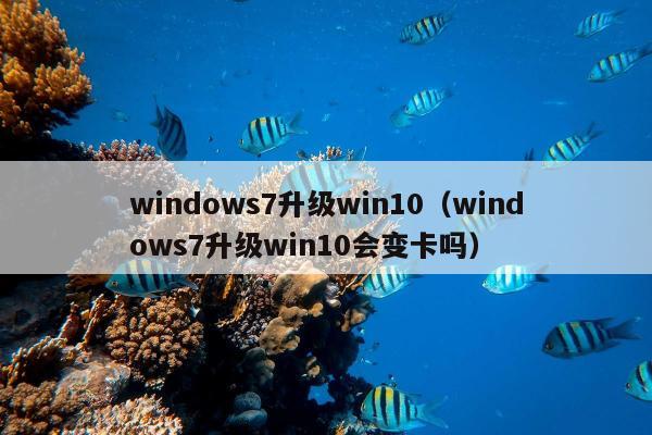 windows7升级win10（windows7升级win10会变卡吗）