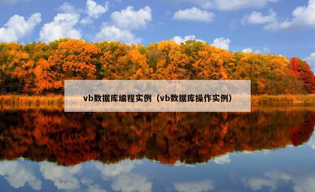 vb数据库编程实例（vb数据库操作实例）