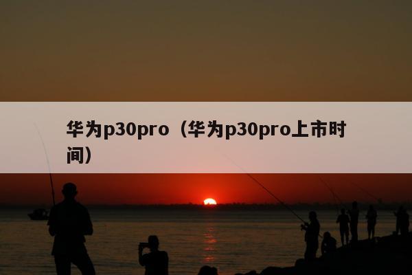 华为p30pro（华为p30pro上市时间）