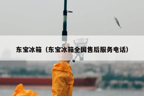 东宝冰箱（东宝冰箱全国售后服务电话）