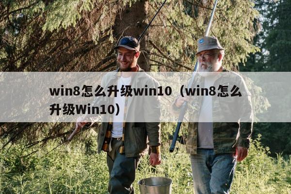 win8怎么升级win10（win8怎么升级Win10）