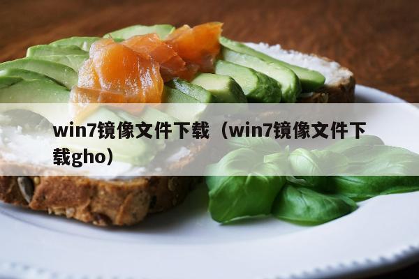 win7镜像文件下载（win7镜像文件下载gho）