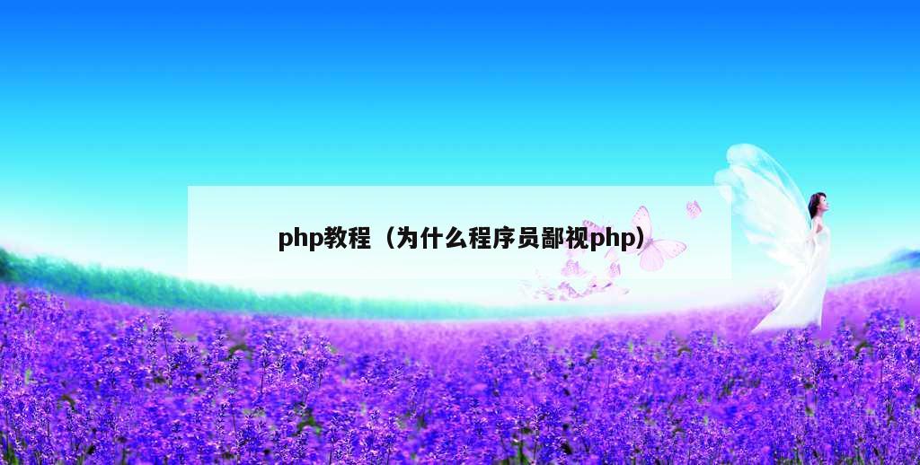 php教程（为什么程序员鄙视php）