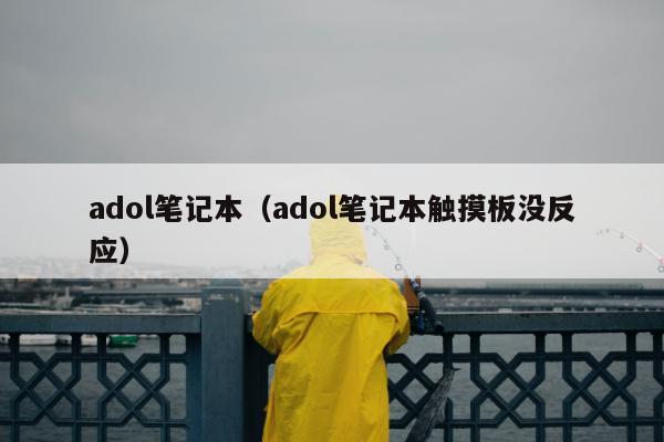 adol笔记本（adol笔记本触摸板没反应）