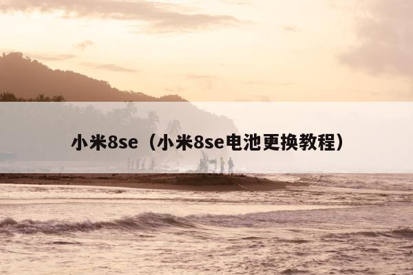 小米8se（小米8se电池更换教程）