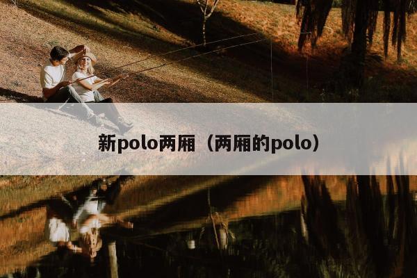 新polo两厢（两厢的polo）