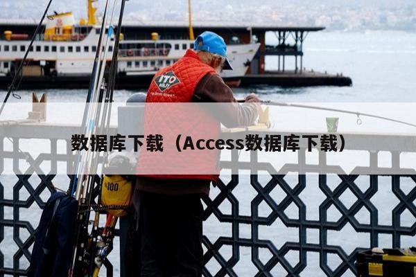 数据库下载（Access数据库下载）