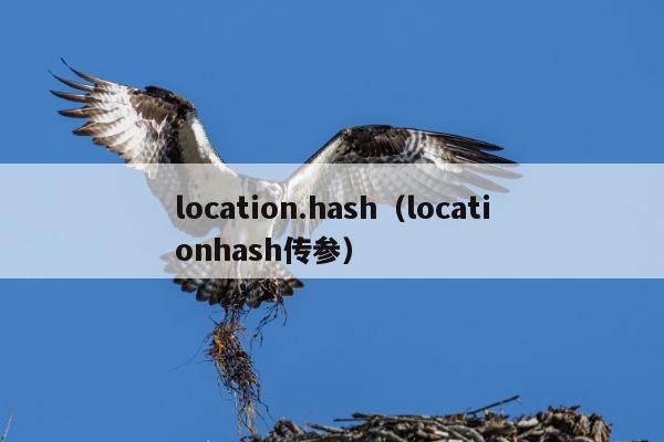 location.hash（locationhash传参）