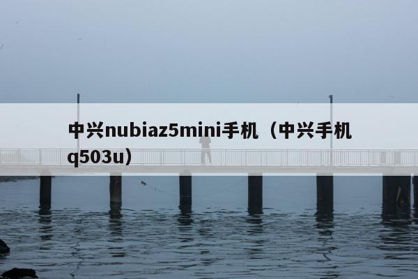 中兴nubiaz5mini手机（中兴手机q503u）