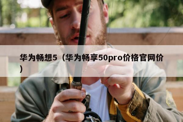 华为畅想5（华为畅享50pro价格官网价）