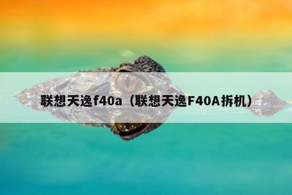 联想天逸f40a（联想天逸F40A拆机）