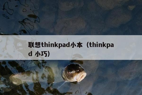 联想thinkpad小本（thinkpad 小巧）