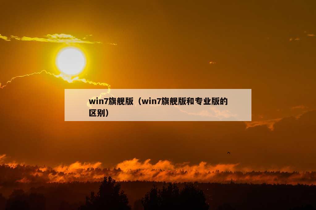 win7旗舰版（win7旗舰版和专业版的区别）