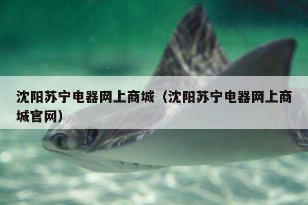 沈阳苏宁电器网上商城（沈阳苏宁电器网上商城官网）