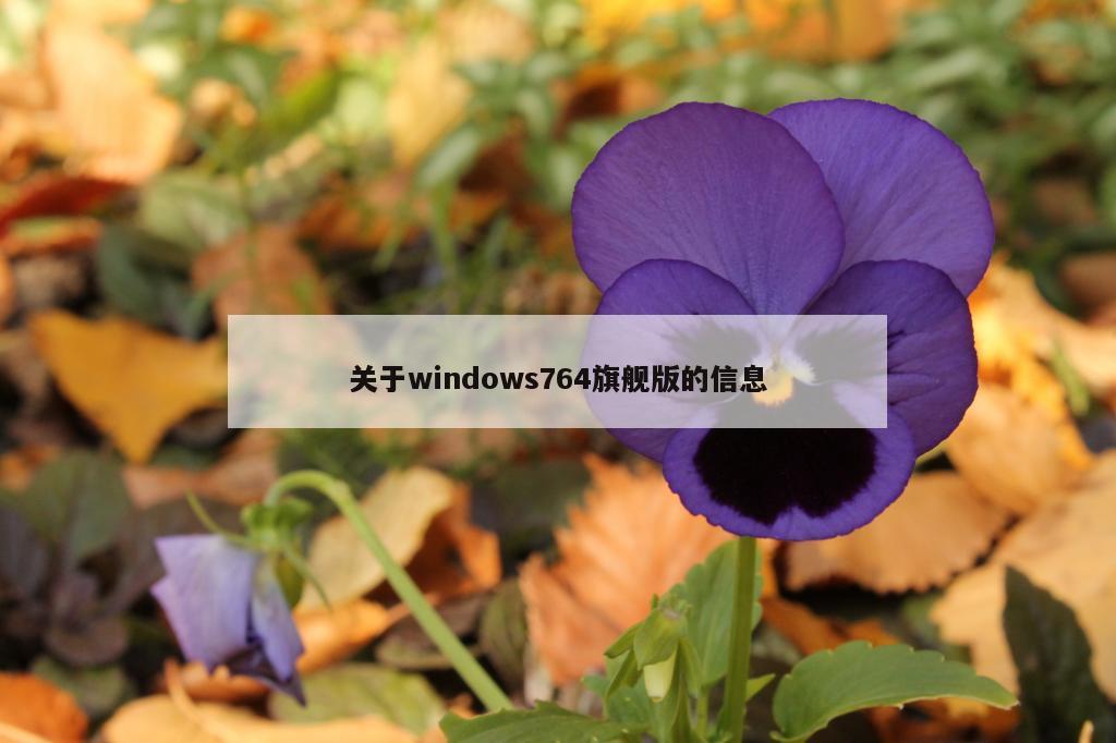 关于windows764旗舰版的信息