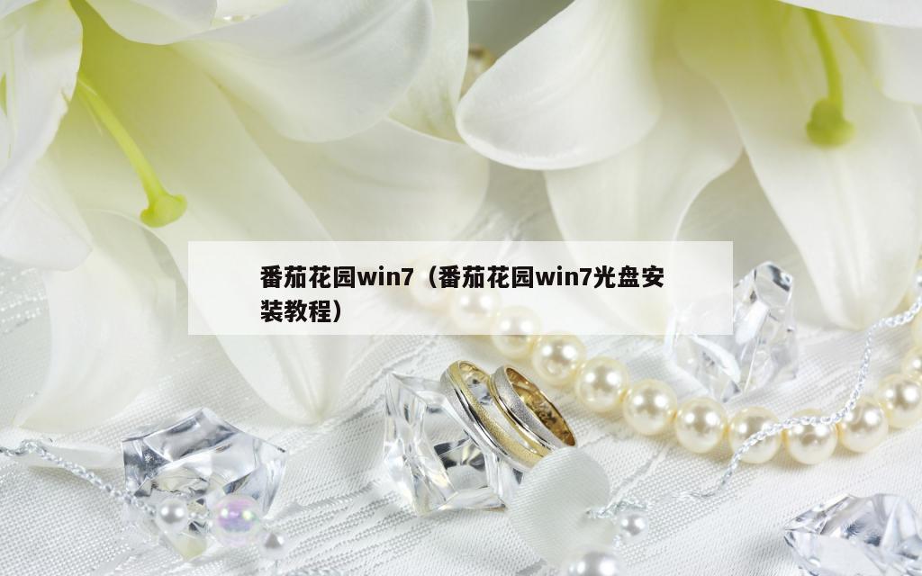 番茄花园win7（番茄花园win7光盘安装教程）