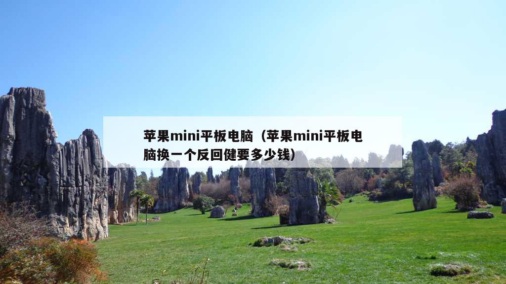 苹果mini平板电脑（苹果mini平板电脑换一个反回健要多少钱）