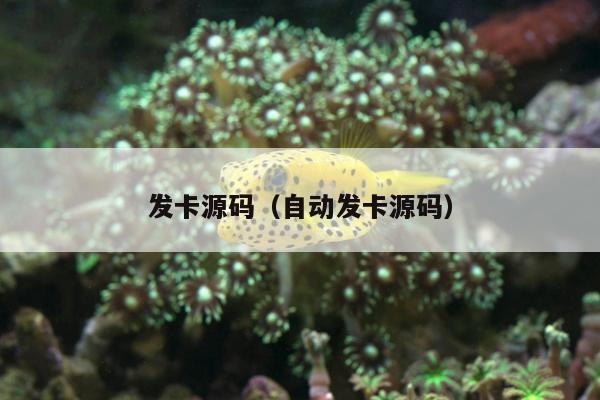 发卡源码（自动发卡源码）