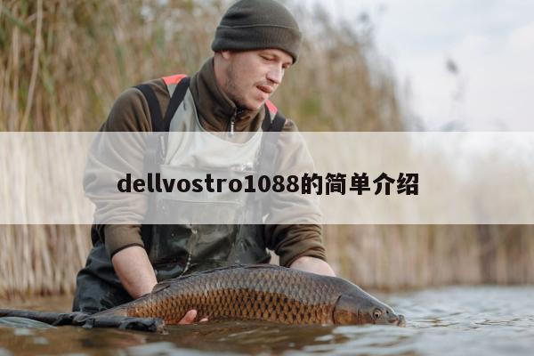 dellvostro1088的简单介绍