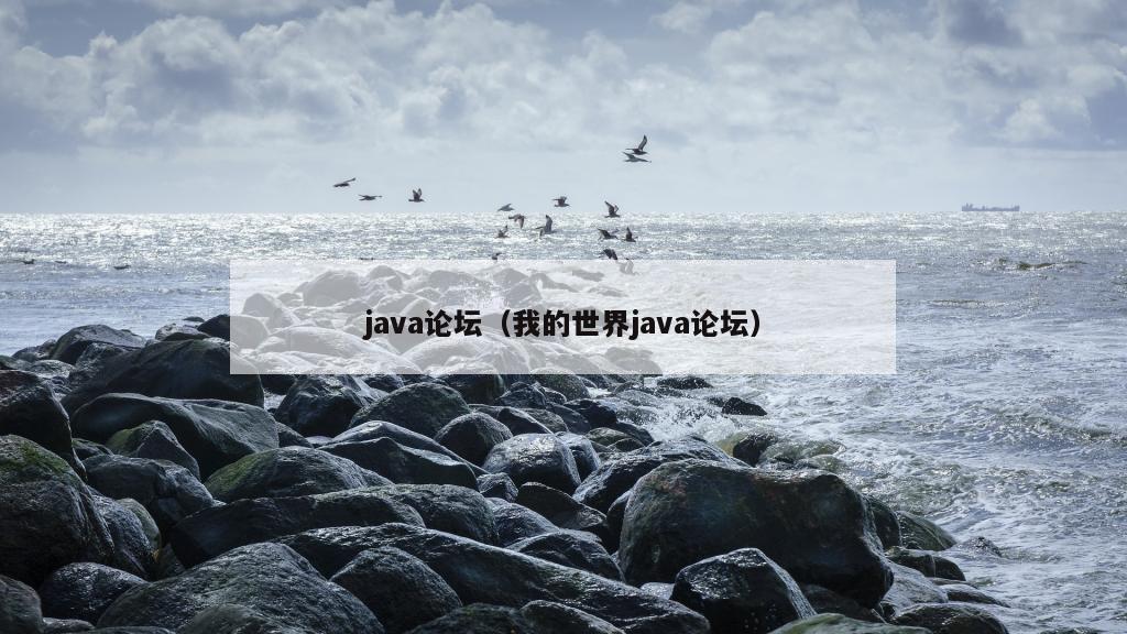 java论坛（我的世界java论坛）