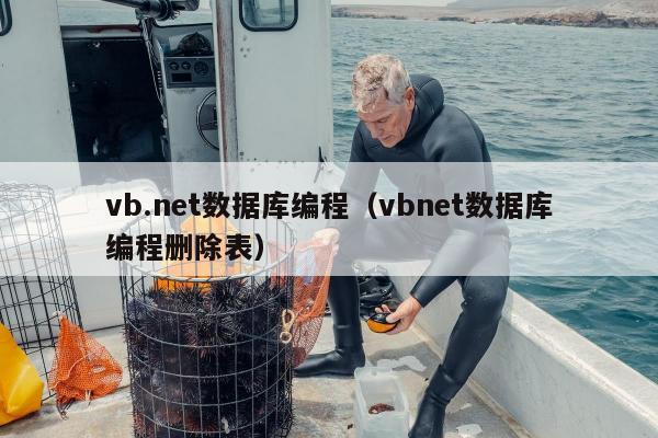 vb.net数据库编程（vbnet数据库编程删除表）