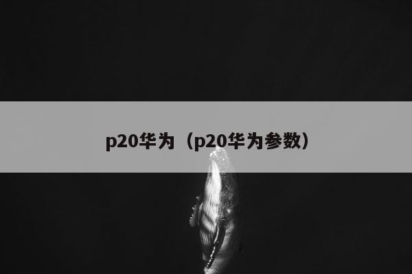 p20华为（p20华为参数）