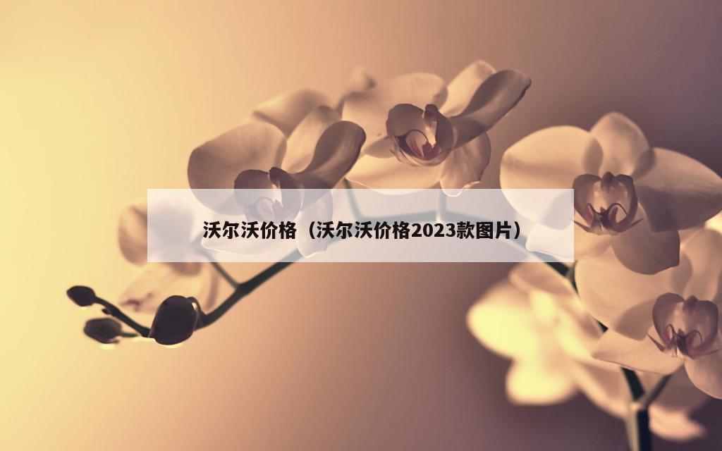 沃尔沃价格（沃尔沃价格2023款图片）