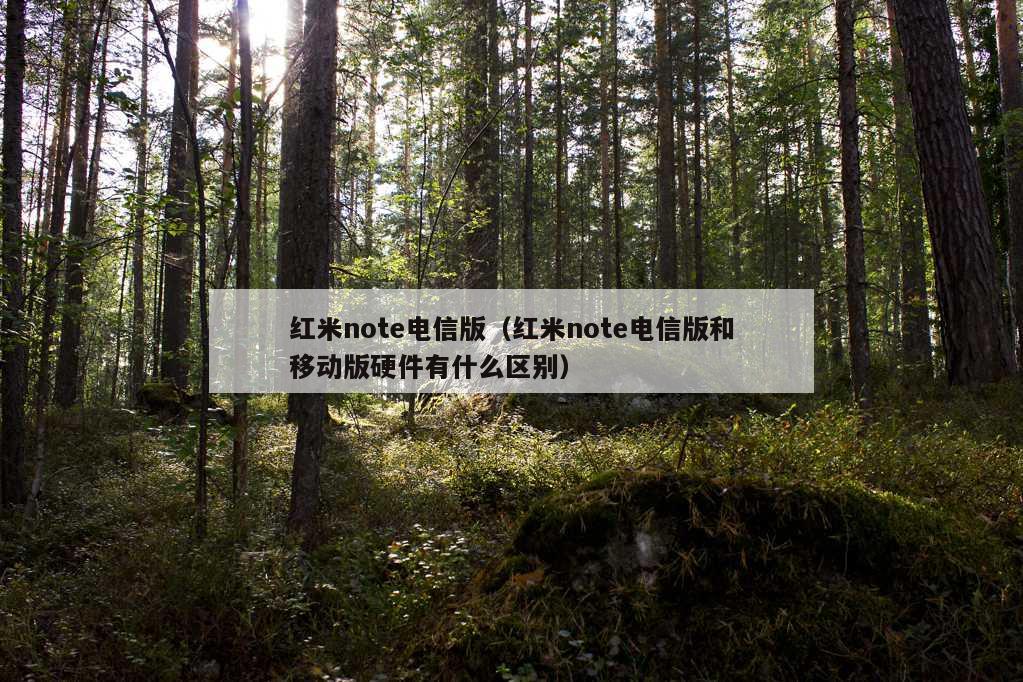 红米note电信版（红米note电信版和移动版硬件有什么区别）