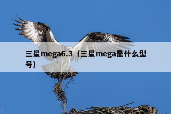 三星mega6.3（三星mega是什么型号）