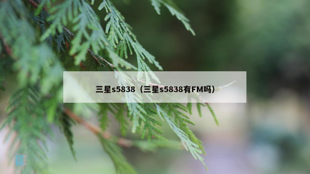 三星s5838（三星s5838有FM吗）