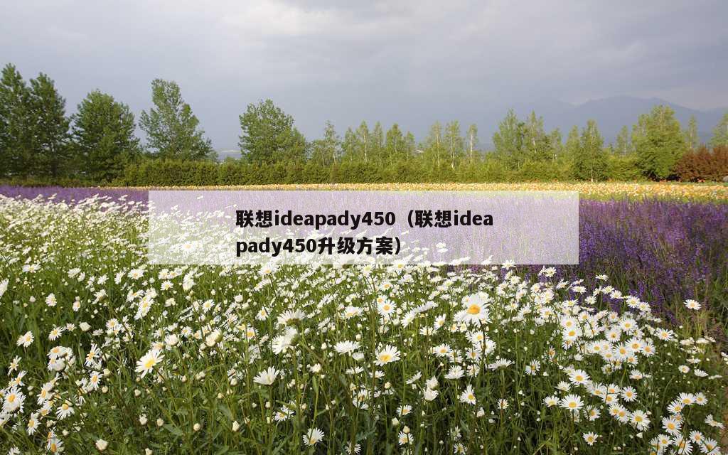 联想ideapady450（联想ideapady450升级方案）