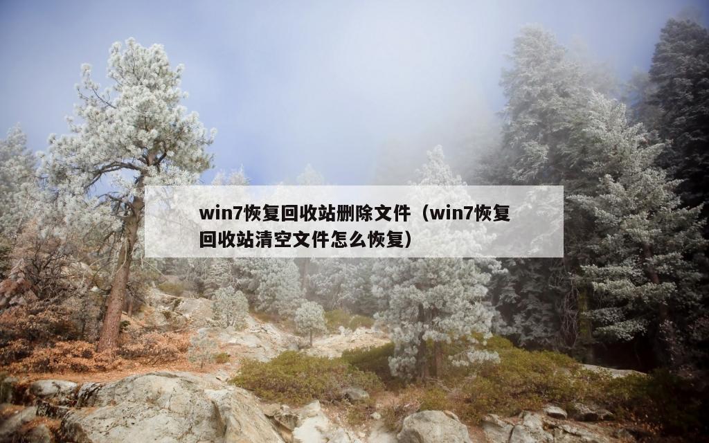 win7恢复回收站删除文件（win7恢复回收站清空文件怎么恢复）