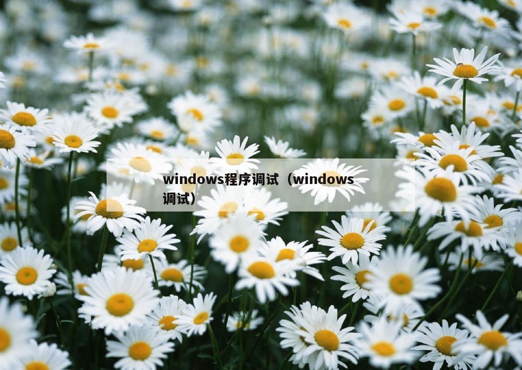 windows程序调试（windows 调试）