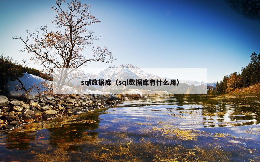 sql数据库（sql数据库有什么用）