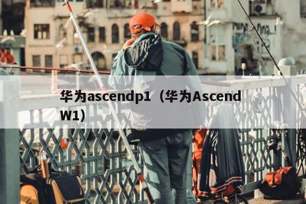 华为ascendp1（华为Ascend W1）