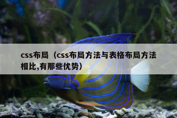 css布局（css布局方法与表格布局方法相比,有那些优势）