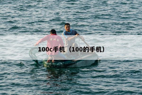 100c手机（100的手机）