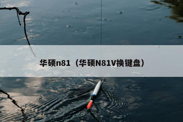 华硕n81（华硕N81V换键盘）