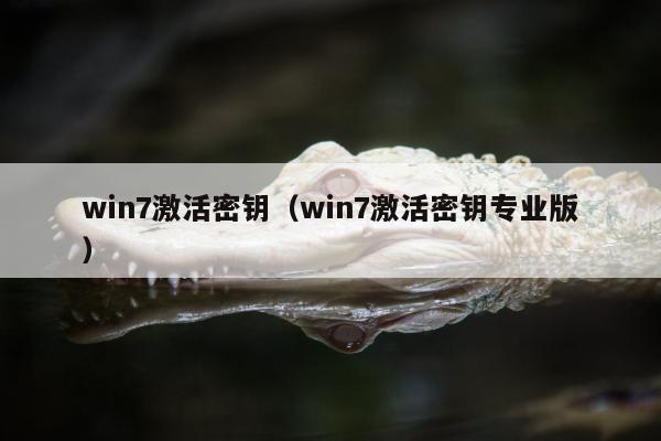 win7激活密钥（win7激活密钥专业版）