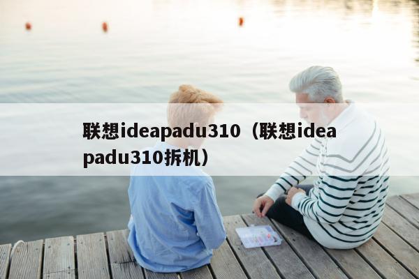 联想ideapadu310（联想ideapadu310拆机）