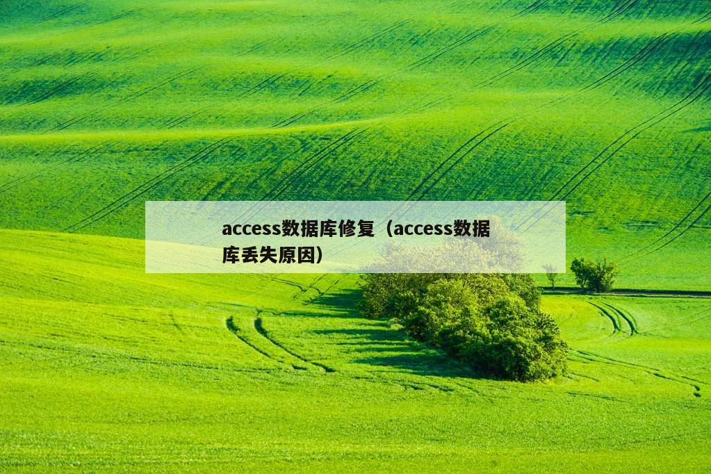 access数据库修复（access数据库丢失原因）