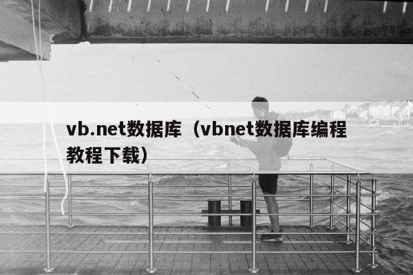 vb.net数据库（vbnet数据库编程教程下载）