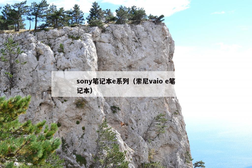 sony笔记本e系列（索尼vaio e笔记本）