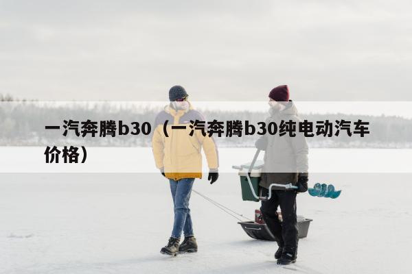 一汽奔腾b30（一汽奔腾b30纯电动汽车价格）