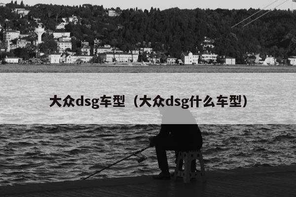 大众dsg车型（大众dsg什么车型）