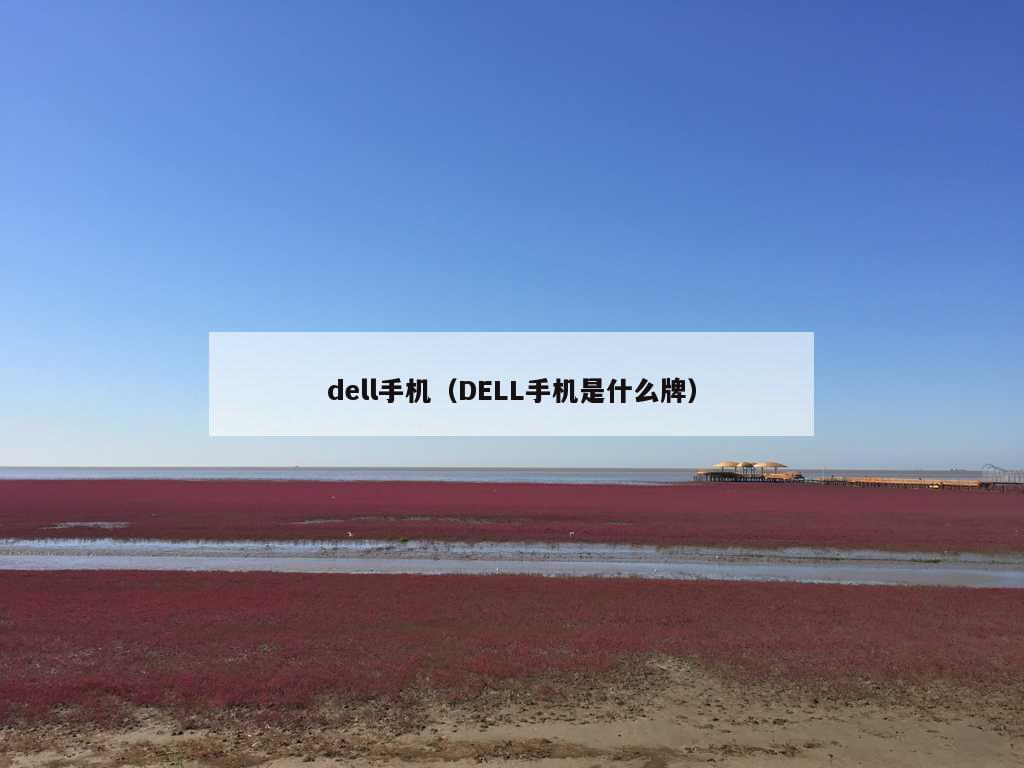 dell手机（DELL手机是什么牌）