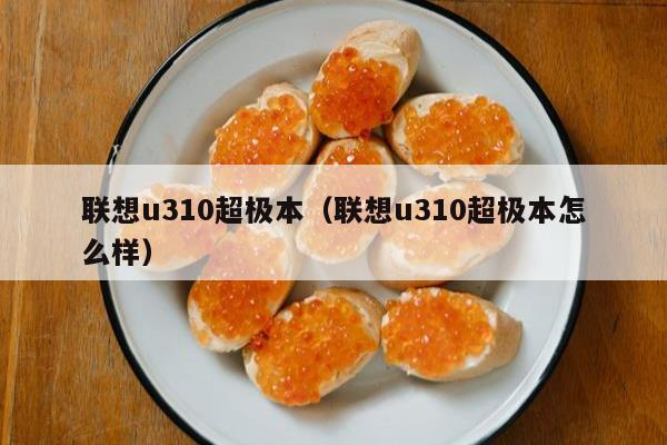 联想u310超极本（联想u310超极本怎么样）